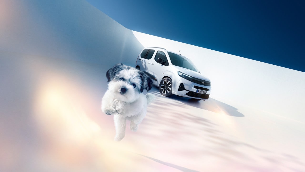 Pogled sprijeda na bijeli Opel Combo i psa